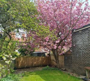 Photo 10- click for photo gallery